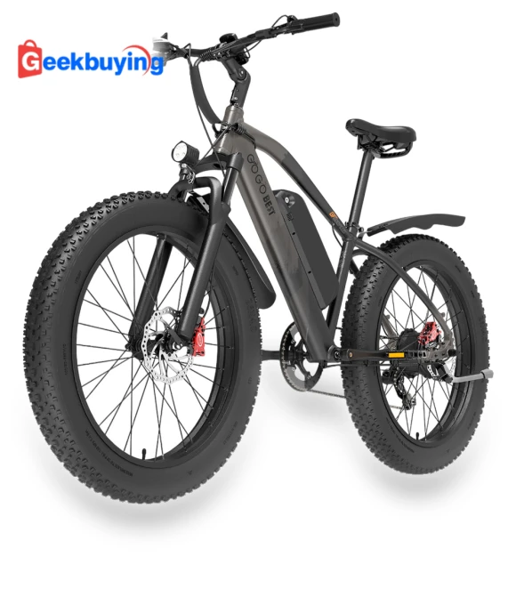 Electric Bike — E-Bikes, GOGOBEST