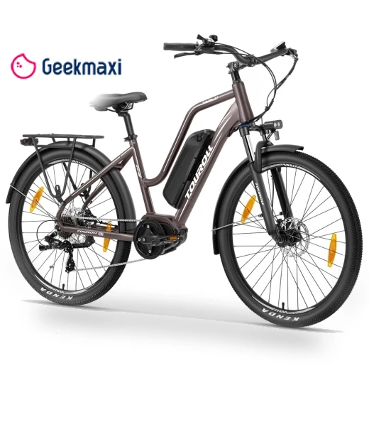 Electric Bike — Electric Self-Balancing Scooters, Touroll