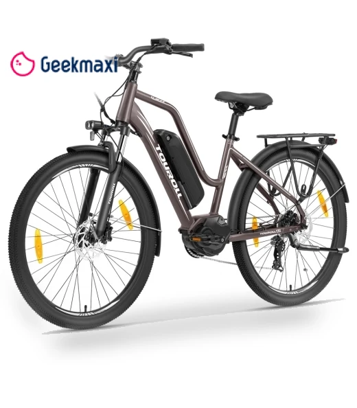 Electric Bike — Electric Self-Balancing Scooters, Touroll