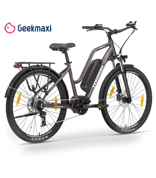 Electric Bike — Electric Self-Balancing Scooters, Touroll