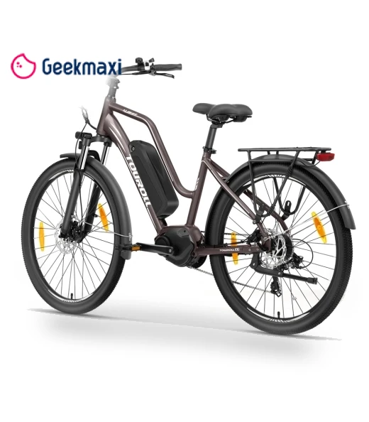 Electric Bike — Electric Self-Balancing Scooters, Touroll