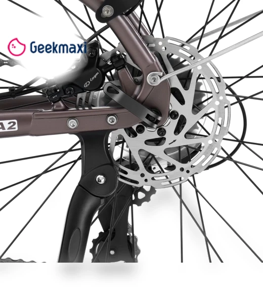 Electric Bike — Electric Self-Balancing Scooters, Touroll
