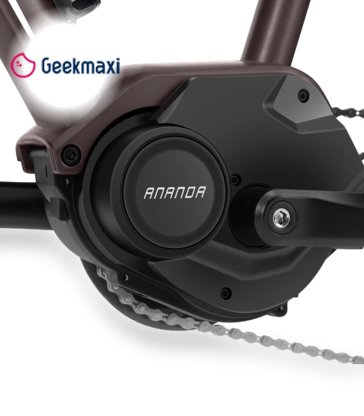 Electric Bike — Electric Self-Balancing Scooters, Touroll