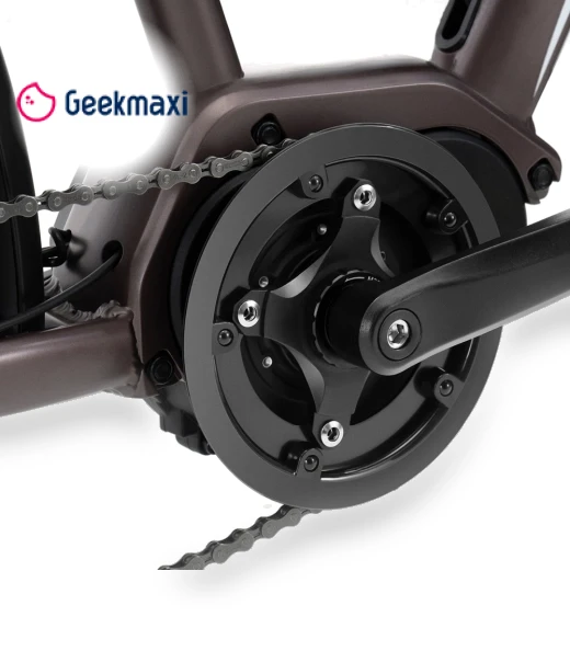 Electric Bike — Electric Self-Balancing Scooters, Touroll
