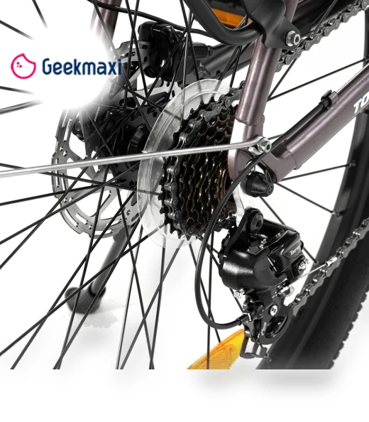 Electric Bike — Electric Self-Balancing Scooters, Touroll