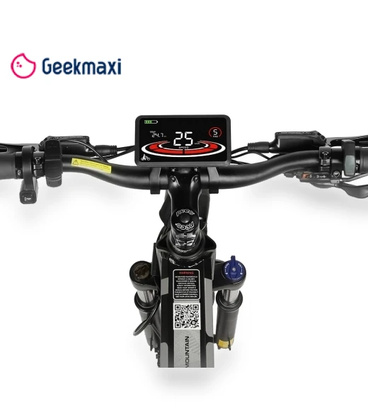Foldable Electric Bike — E-Bikes, SAMEBIKE
