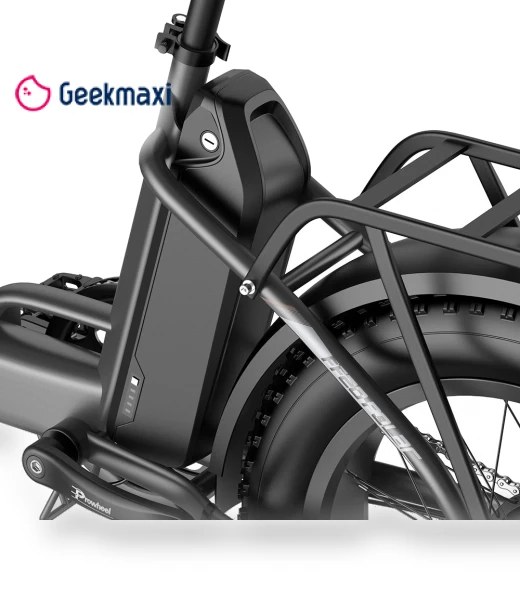 Polar Foldable Electric Bike — Electric Self-Balancing Scooters, Fafrees