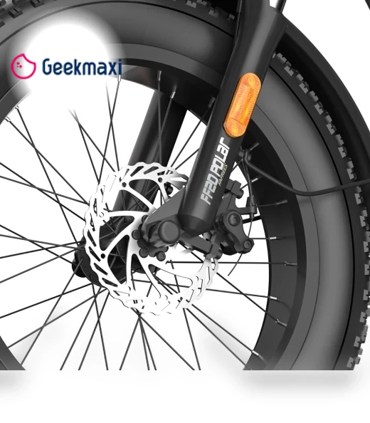 Polar Foldable Electric Bike — Electric Self-Balancing Scooters, Fafrees