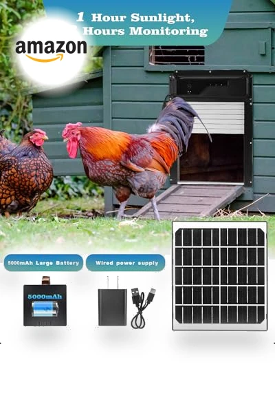 Automatic Chicken Coop Door — Doors, Caifunway
