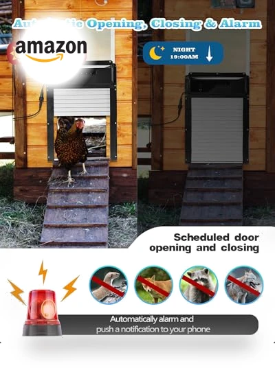 Automatic Chicken Coop Door — Doors, Caifunway