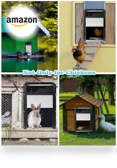 Automatic Chicken Coop Door — Doors, Caifunway