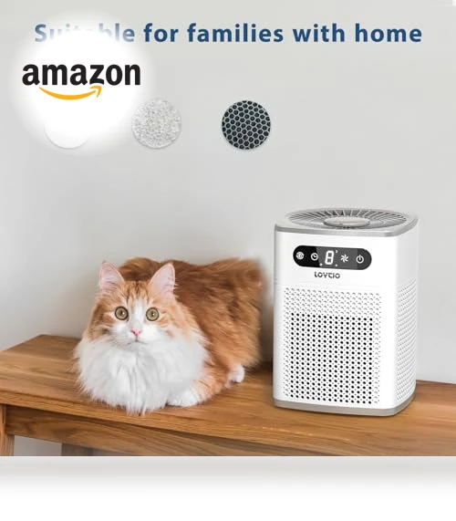 HEPA Air Purifier with Aromatherapy — HEPA Air Purifiers