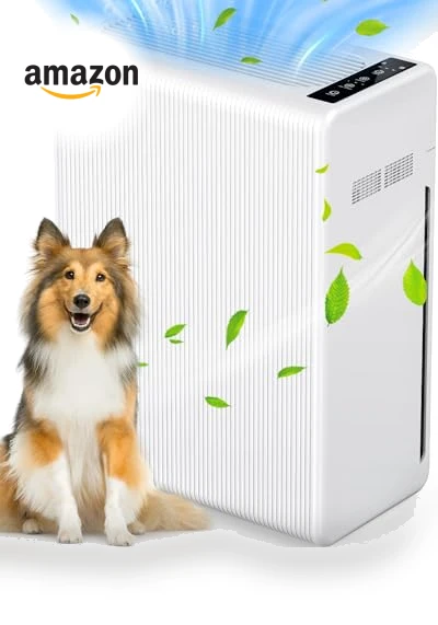 Large Room Air Purifier — Activated Carbon Air Purifiers, Mooka Family