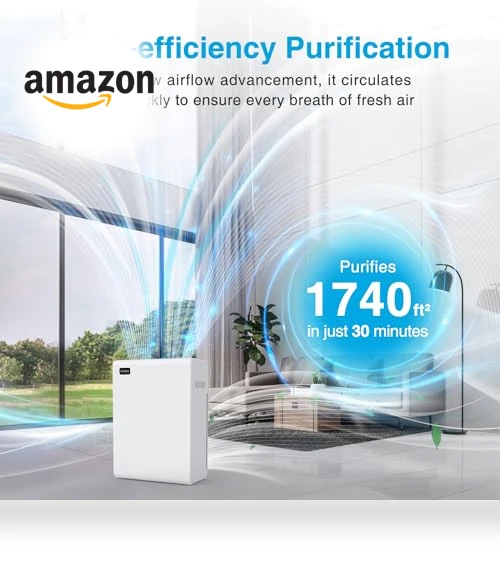 Large Room Air Purifier — Activated Carbon Air Purifiers, Mooka Family