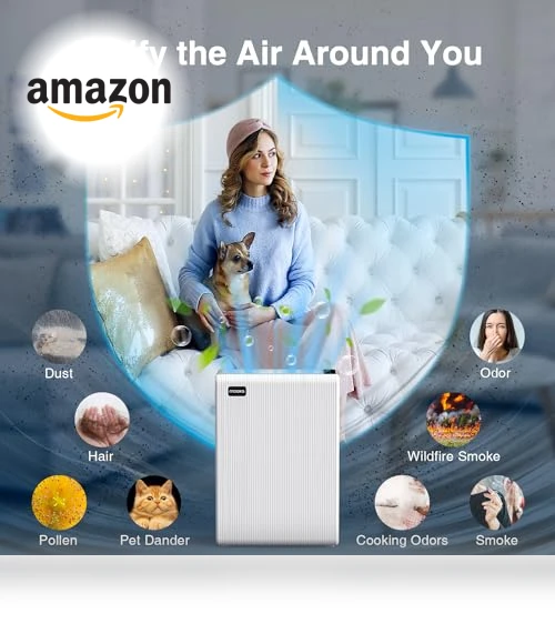 Large Room Air Purifier — Activated Carbon Air Purifiers, Mooka Family