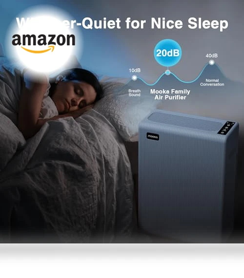 Large Room Air Purifier — Activated Carbon Air Purifiers, Mooka Family