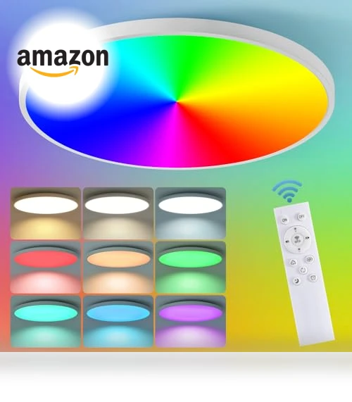 Smart Ceiling Light with Remote Control — Overhead Lighting, HENTAG