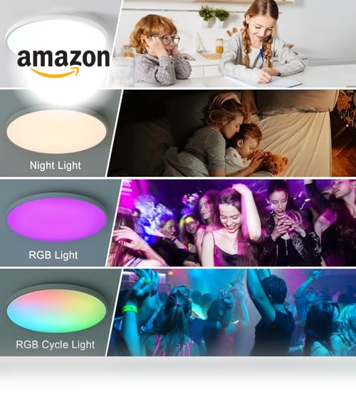 Smart Ceiling Light with Remote Control — Overhead Lighting, HENTAG