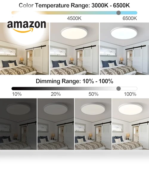 Smart Ceiling Light with Remote Control — Overhead Lighting, HENTAG