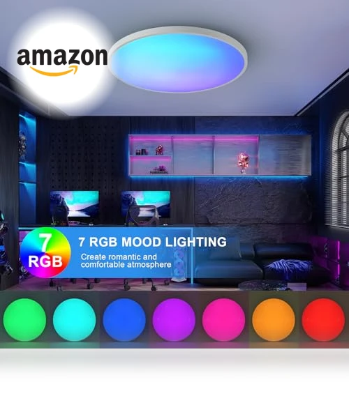 Smart Ceiling Light with Remote Control — Overhead Lighting, HENTAG