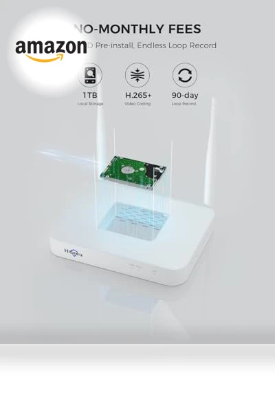 Solar-Powered Outdoor Security Camera System — Security Cameras, Hiseeu