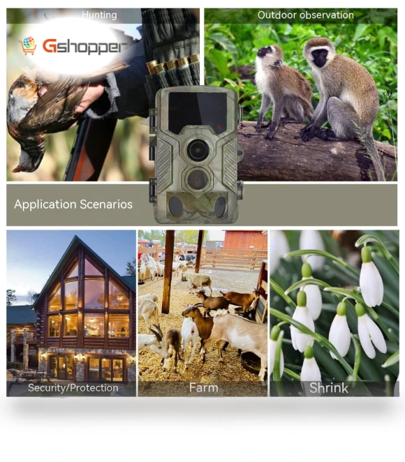 HD 1080P Hunting Camera — Outdoor & Wildlife Cameras