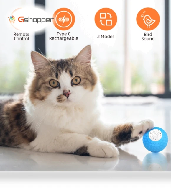 Intelligent pet cat toy ball — Cat Playthings