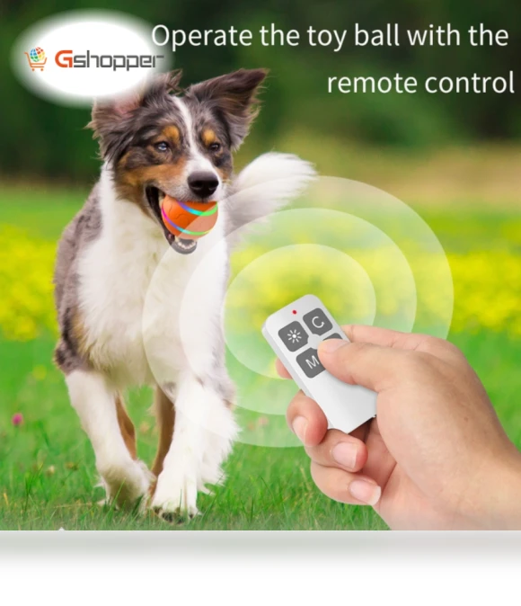 Intelligent pet toy ball — Interactive Animal Companions