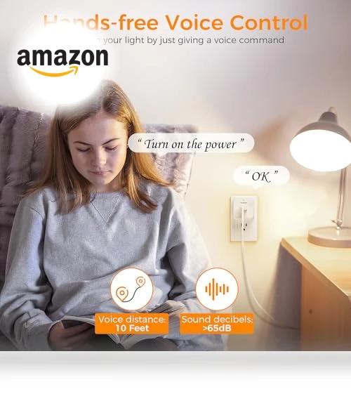 Remote Voice Control Outlet Plug — Outlet Switches, TESSAN