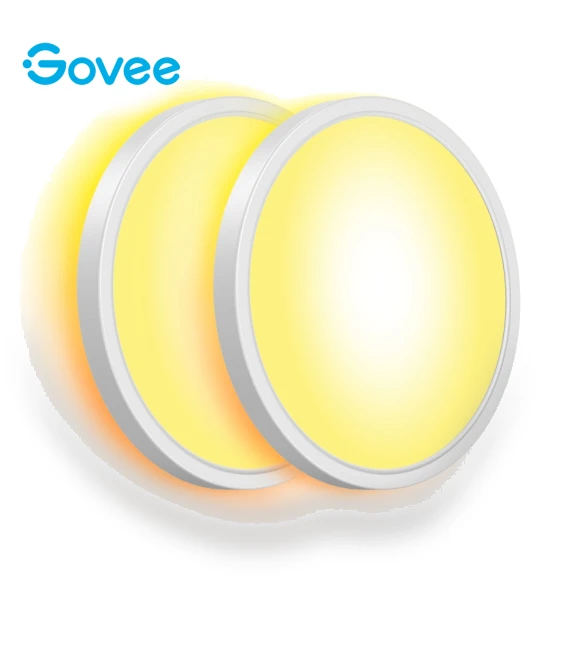 Smart Ceiling Light — Overhead Lighting, Govee
