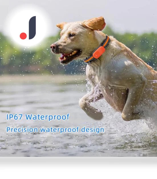 GPS Pet Tracker Collar — Trackers, zhenmiaoxiang