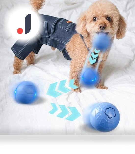 Interactive Cat Toy Ball — Cat Playthings, Pets Home