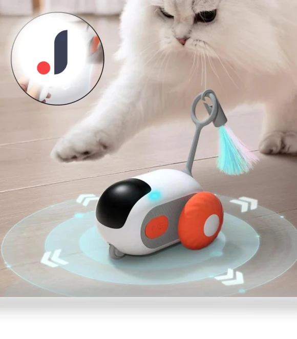 Interactive Cat Toy with Remote Control — Interactive Animal Companions, NATAWA