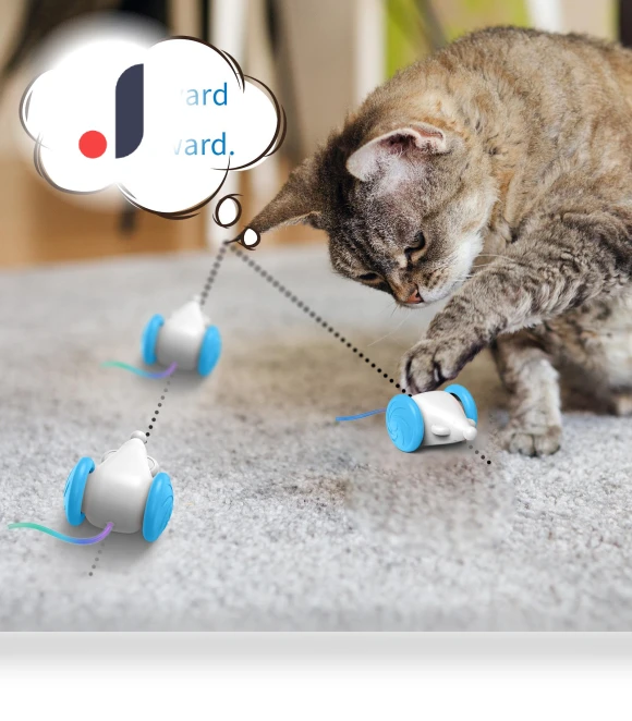 Interactive Cat Toy — Cat Playthings, TOMTOP JMS