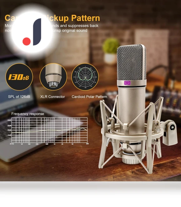 Professional Cardioid Condenser Microphone — Condenser, ZPG