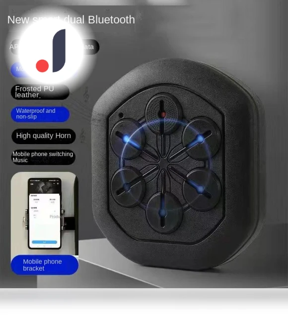 Smart Bluetooth Boxing Trainer — Boxing Training Gear, Binchi Outdoor Equipment