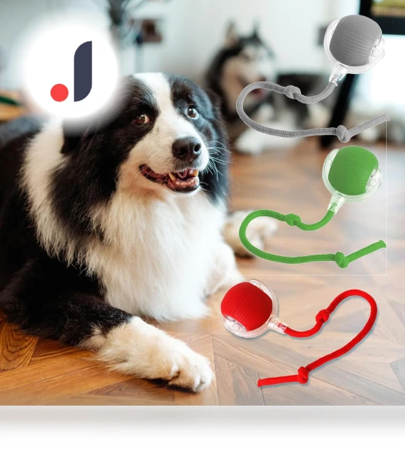 Interactive Lettuce Rolling Ball Toy — Interactive Animal Companions, Chicago Rose