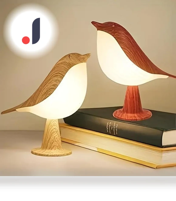 LED Night Light — Night Lights, ZCHUA