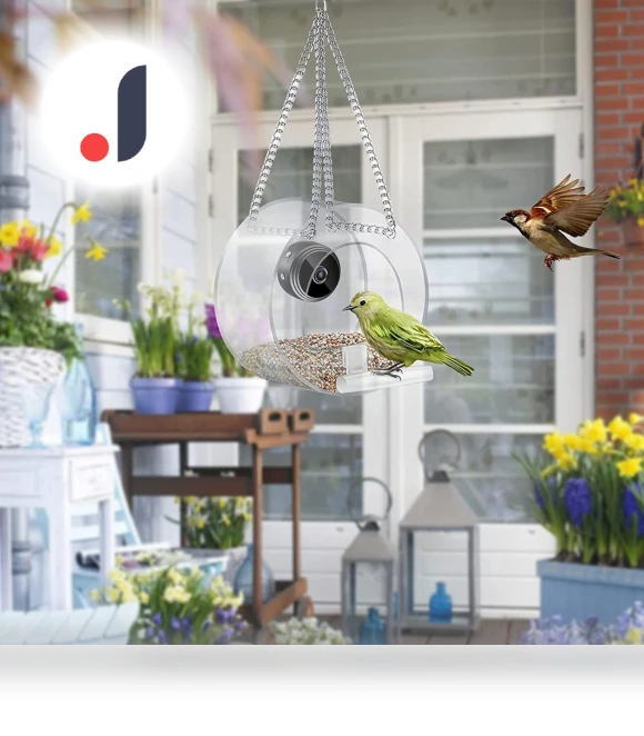Smart Bird Feeder with Camera — Outdoor & Wildlife Cameras, Niubiplus