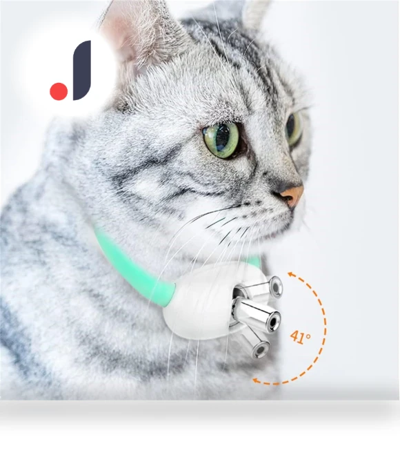 Smart Teasing Collar for Cats — Cat Playthings, Ximalaya