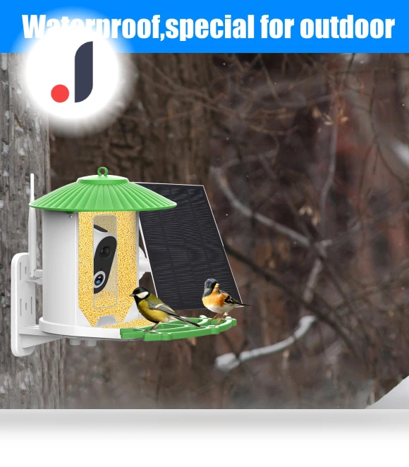 Smart Bird Feeder Camera — Outdoor & Wildlife Cameras, TOMTOP JMS