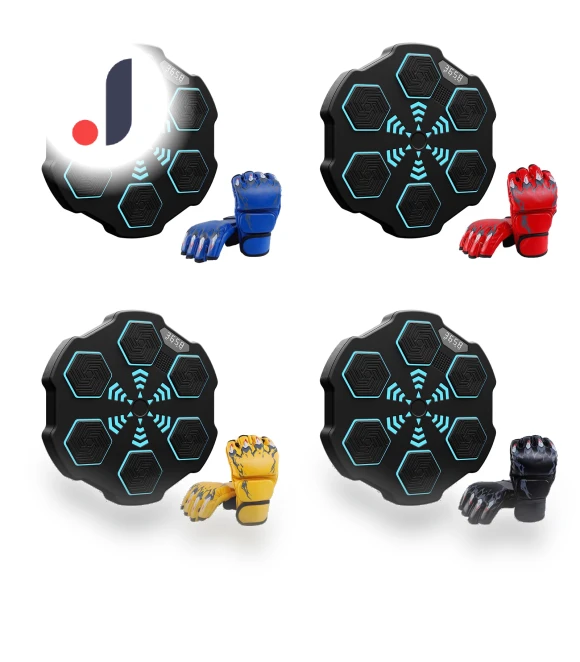 Smart Boxing Trainer — Boxing Training Gear, Binchi Keji Travel