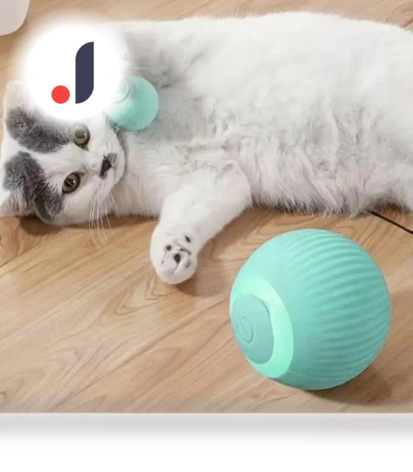 Funny Pet Toys Exercise Chase Electric Ball — Cat Playthings, Sock