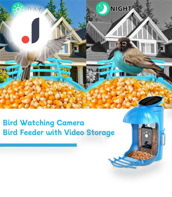 Smart Bird Feeder with Camera — Backyard Birding, Love Pet House