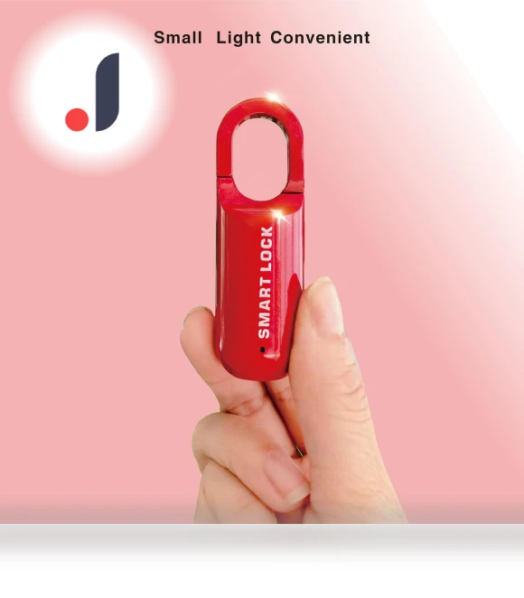 Smart Hanging Lock with Fingerprints — Padlocks & Hasps, Zeblaze