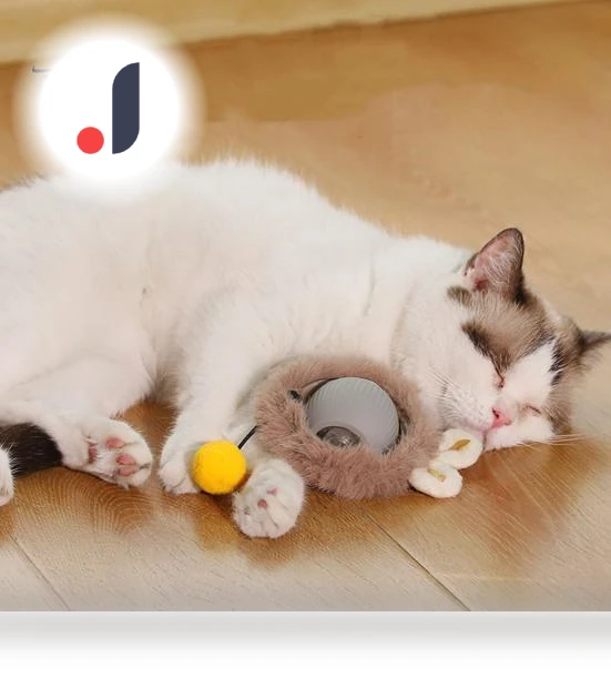 Interactive Cat Toy Ball — Cat Playthings, Pet park