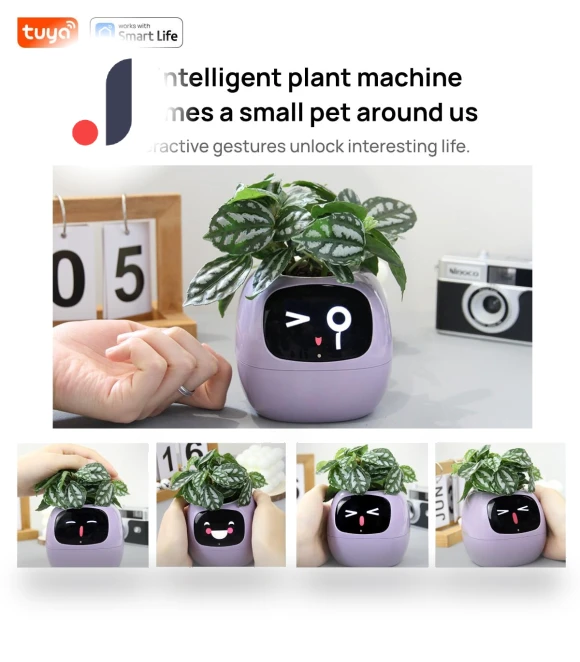 Smart Life Planter — Space-Saving Planters, AE Selection