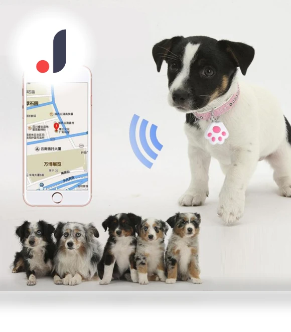 Bluetooth Anti-Loss Smart Keychain — Item Locators, lanle