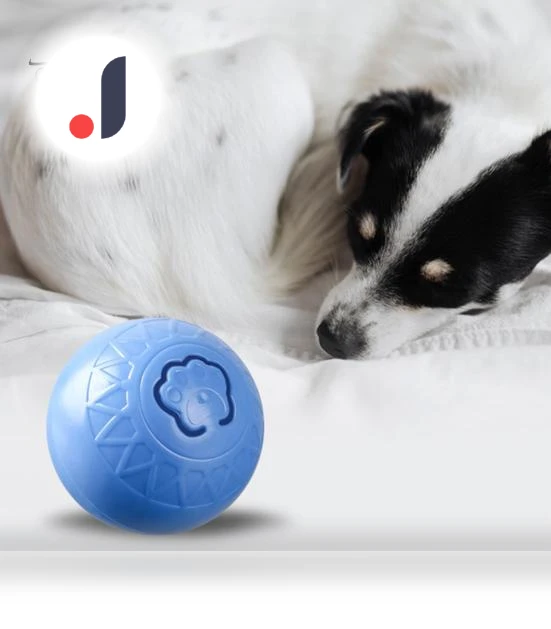 Interactive Cat Toy Ball — Cat Playthings, Pet park