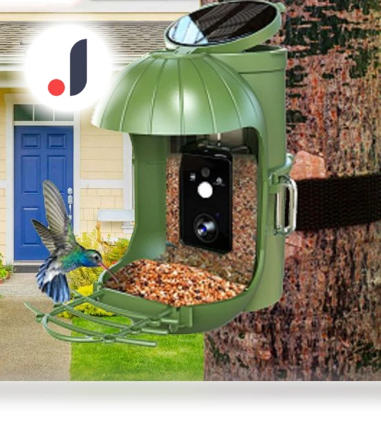 Smart Bird Feeder with Camera — Outdoor & Wildlife Cameras, Pet park